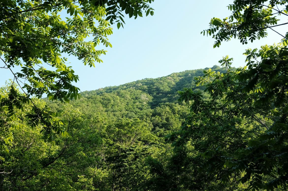 dscf4427.jpg